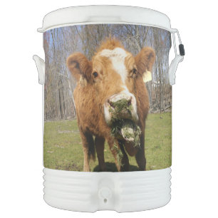 Cow Igloo Beverage Cooler