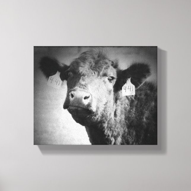 Cow in Black and White Canvas Print (Front)