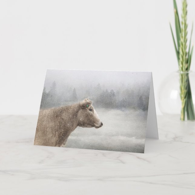 Cow in Falling Snow Card (Front)