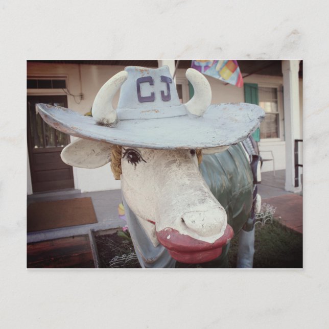 Cow in Lipstick on a Postcard (Front)