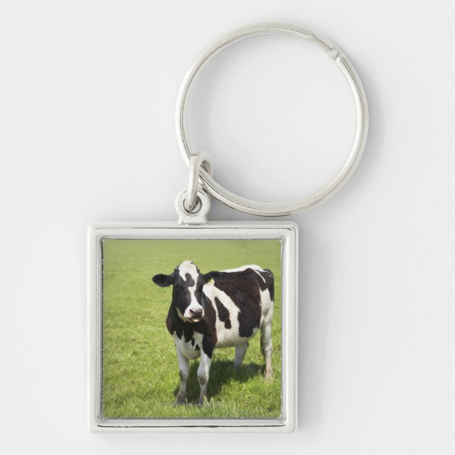 Cow in meadow keychain (Front)