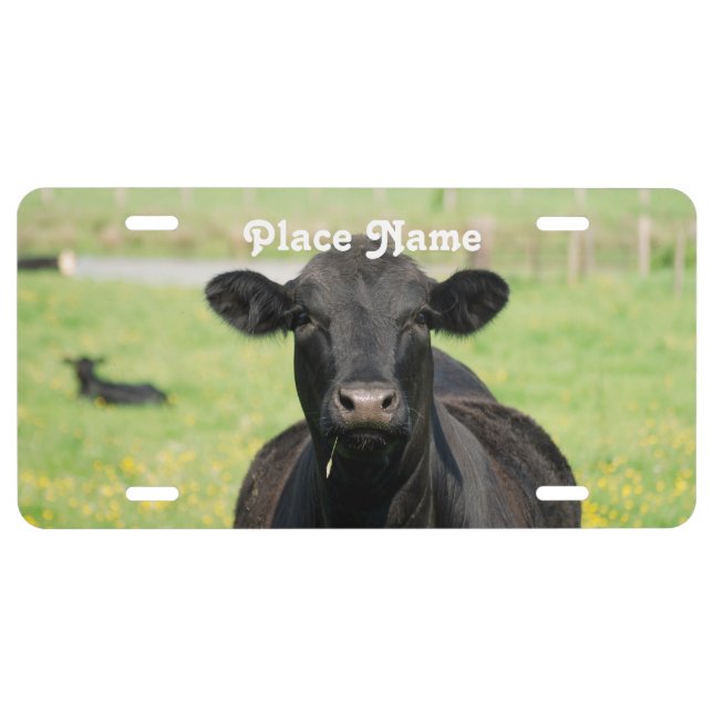 Cow in Netherlands License Plate (Front)
