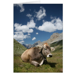 Cow in Pasture Cards