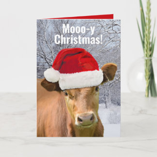 Cow in Santa Hat Mooo-y Christmas, Happy Moo Year Holiday Card