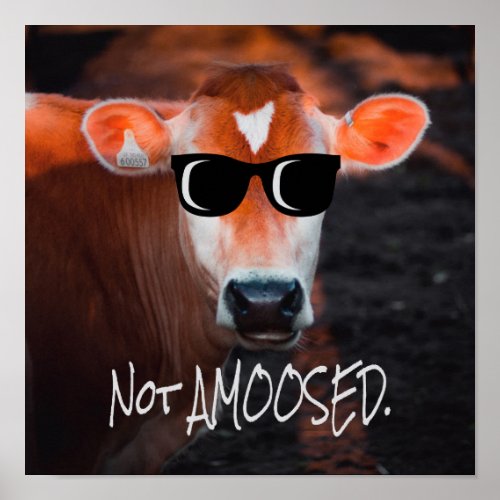 Cow in Sunglasses Not aMOOsed Cute Funny Poster