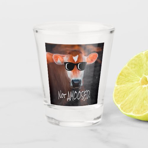 Cow in Sunglasses Not aMOOsed Cute Funny Shot Glass