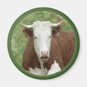 Cow in the Grass Cameo Magnet
