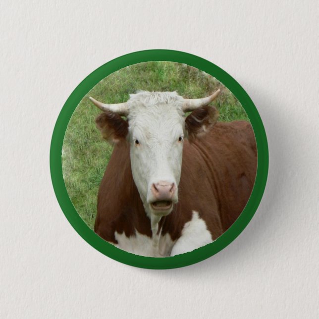 Cow in the Grass Pin-Back Button (Front)
