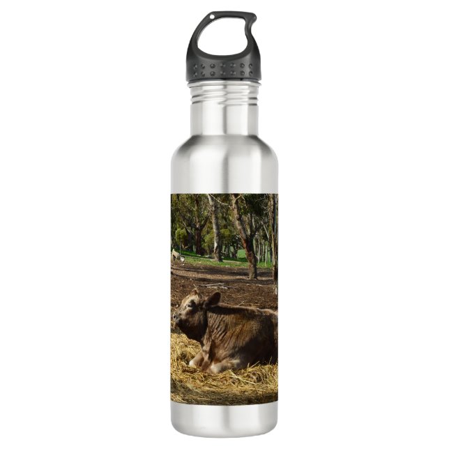 Cow Its A Farm Life, Water Bottle (Front)