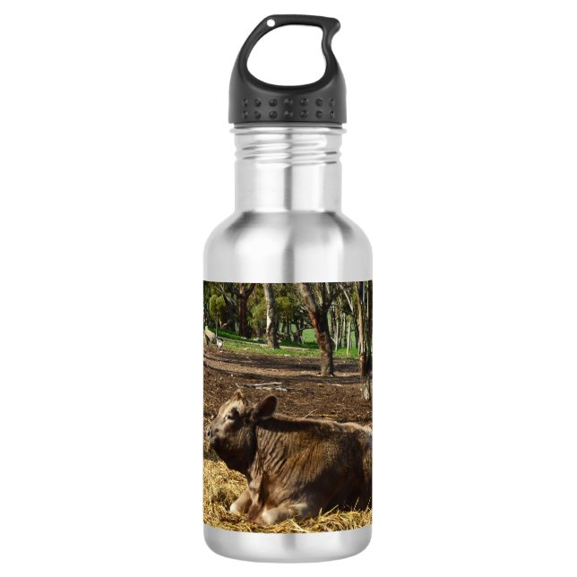 Cow Its A Farm Life, Water Bottle (Front)
