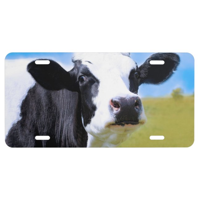 Cow License Plate (Front)