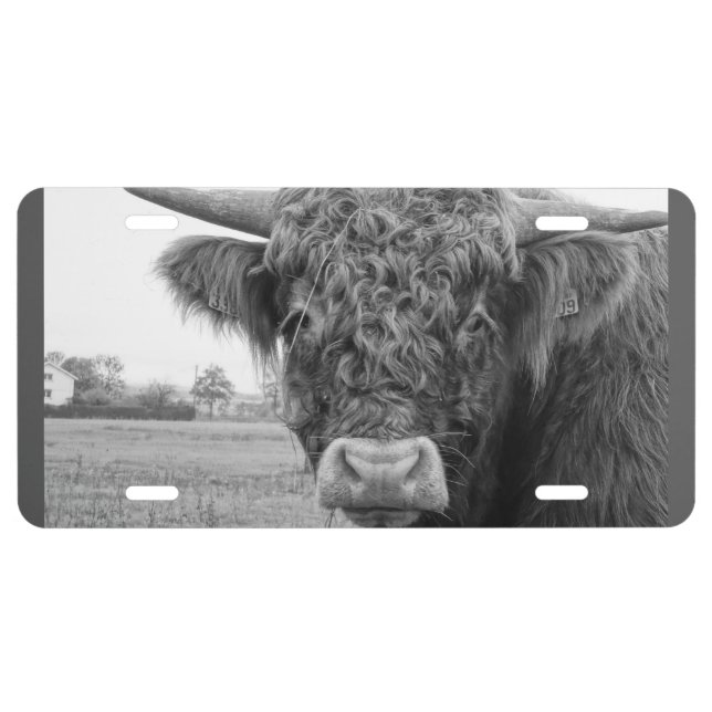 Cow License Plate (Front)