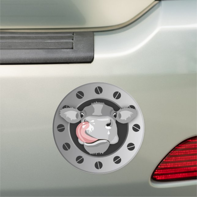 COW LICKING NOSE CAR MAGNET (In Situ)