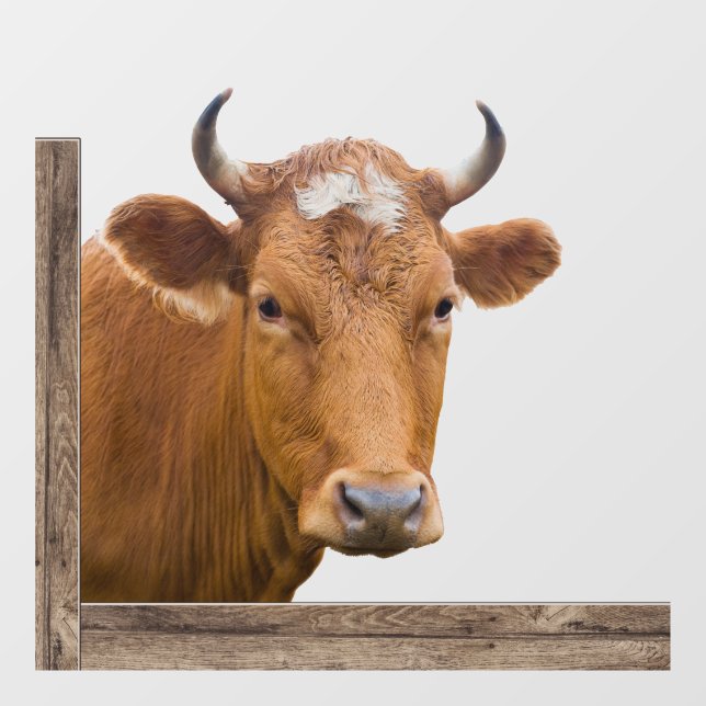 Cow Looking In or Out of Window Cling (Sheet)
