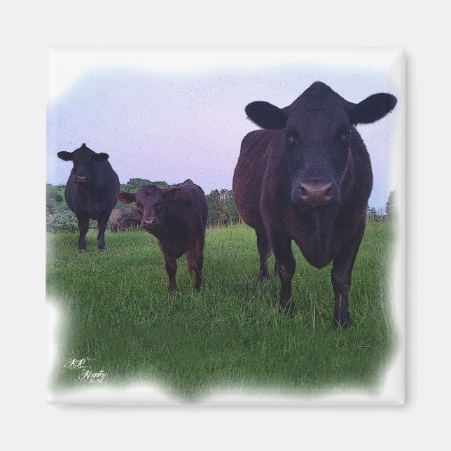 COW MAGNET ! (Front)