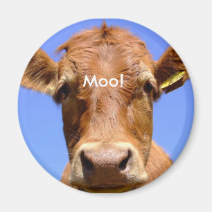 Cow Magnet