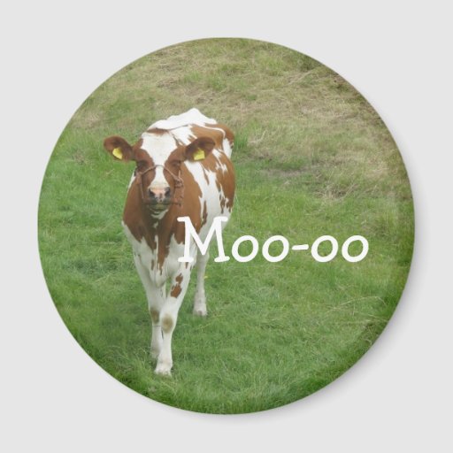 Cow Magnets, Cow Magnet Designs for your Fridge & More