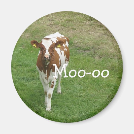 cow magnet