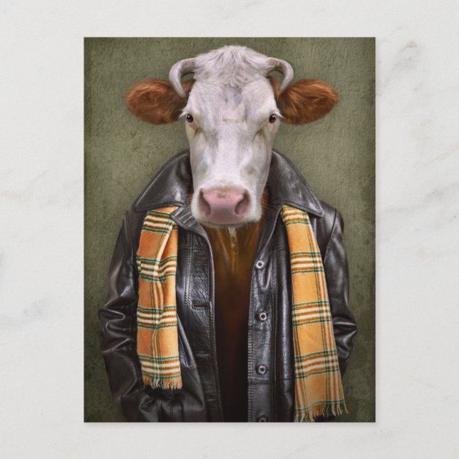 Cow Man Postcard (Front)