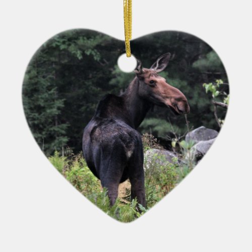 Cow Moose Ceramic Ornament