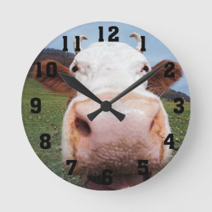 Cow Nose Clock