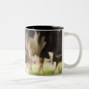 Cow nose Two-Tone coffee mug