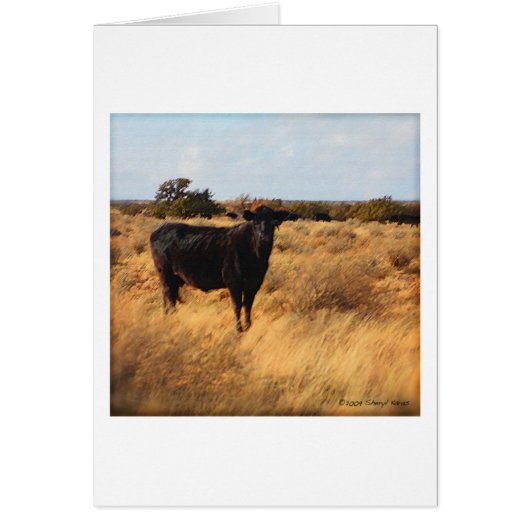 Cow on the Range Cards (Front)