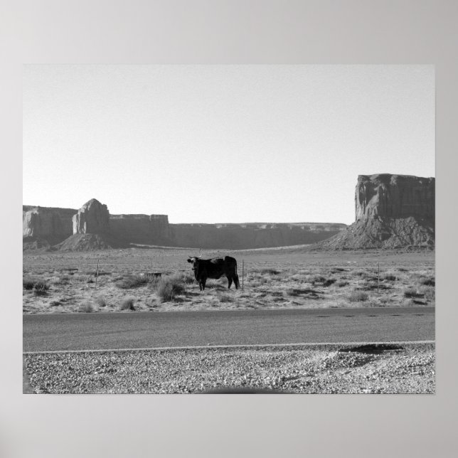 Cow on The Side of the Road Monument Valley 16x20 Poster (Front)