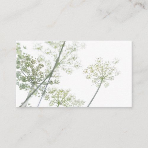 Cow Parsley Business Card