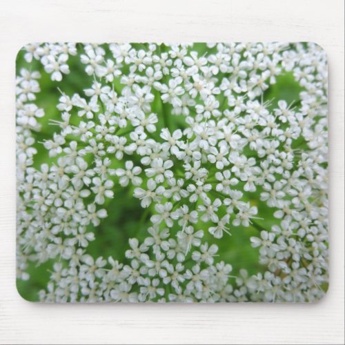 Cow Parsley Mouse Pad