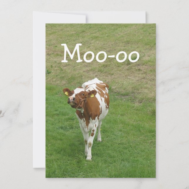 Cow Party Invitations (Front)