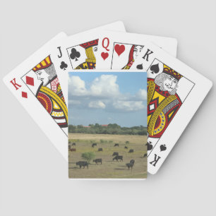 Cow pasture playing cards