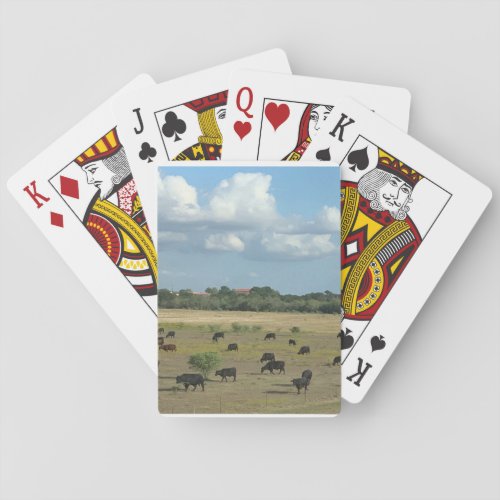 Cow pasture playing cards