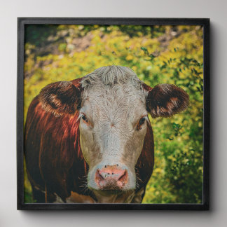 Cow  peel and stick photo tile