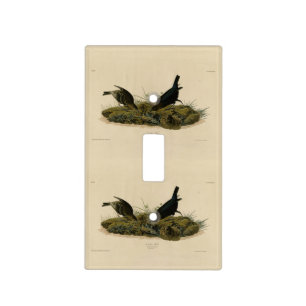 Cow-pen Bird (Cowbird) Audubon's Birds of America Light Switch Cover