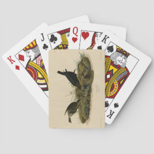 Cow-pen Bird (Cowbird) Audubon's Birds of America Poker Cards