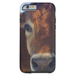 Cow Phone Case