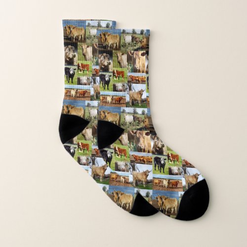 Cow Photo Collage Socks