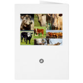 Cow Photo Collage, Udderly Great Birthday (Back)