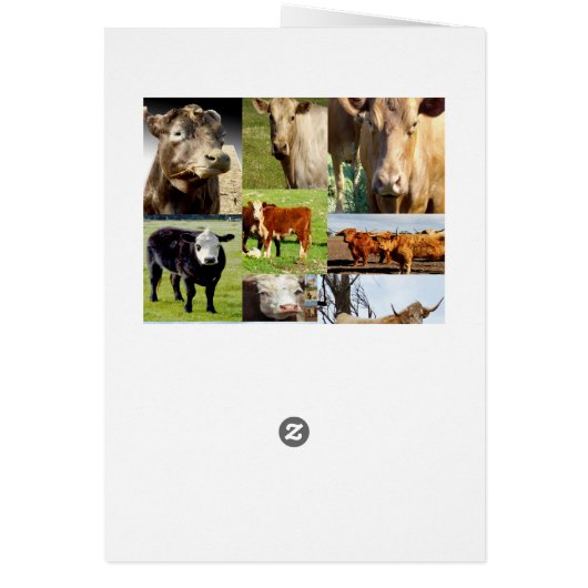 Cow Photo Collage, Udderly Great Birthday (Back)