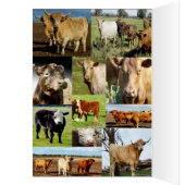 Cow Photo Collage, Udderly Great Birthday (Inside (Left))
