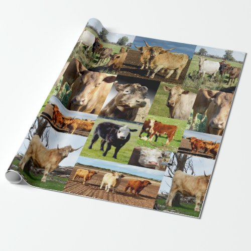 Cow Photo Collage Wrapping Paper