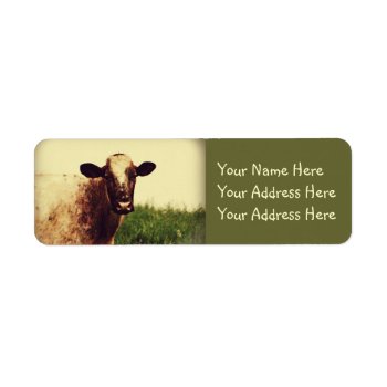 Cow Photo Label by Vanillaextinctions at Zazzle