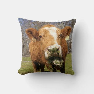 Cow Pillow