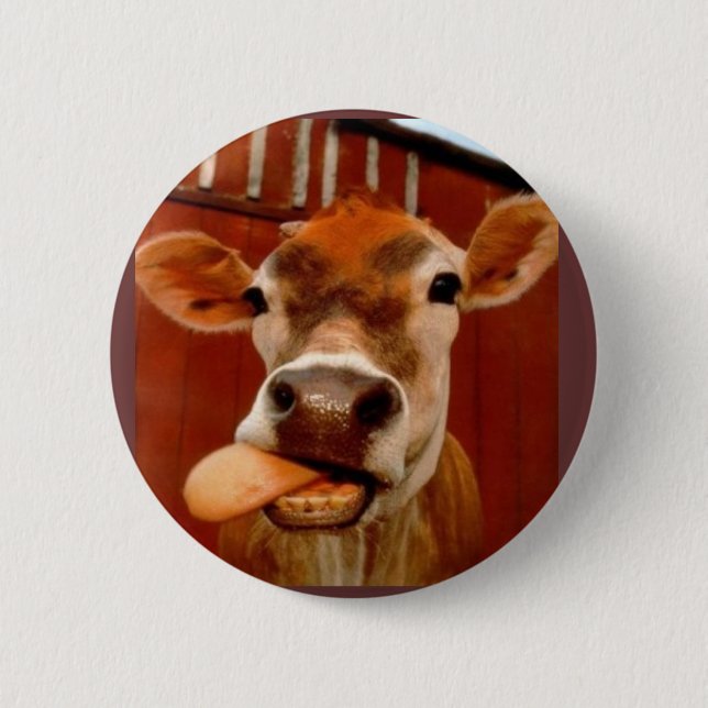 cow pinback button (Front)