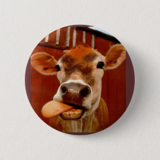 cow pinback button