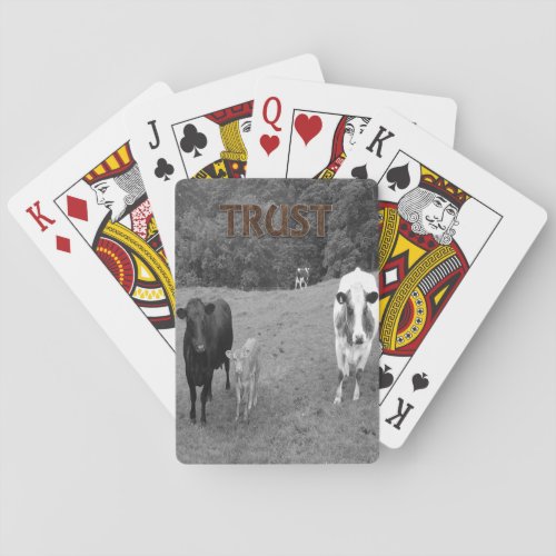 Cow Playing Card Deck