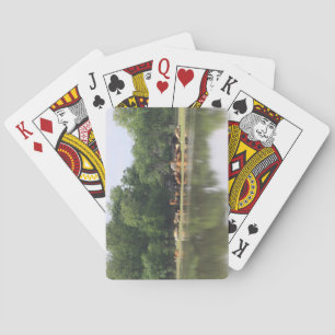Cow Playing Cards