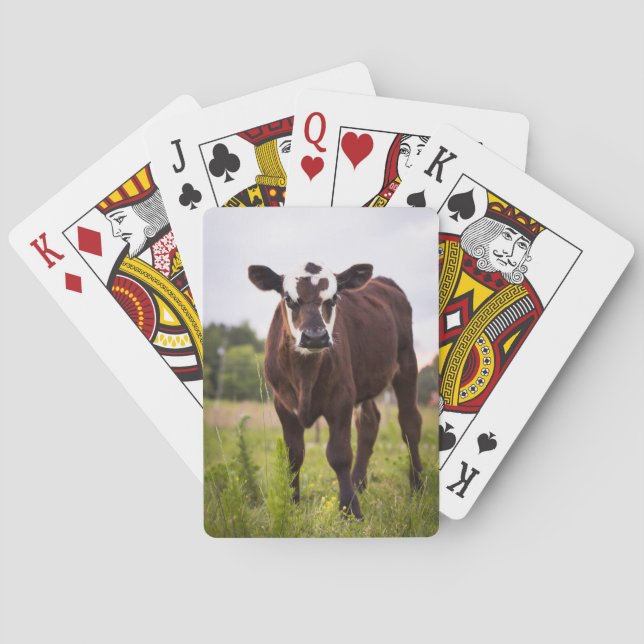 Cow Playing Cards (Back)