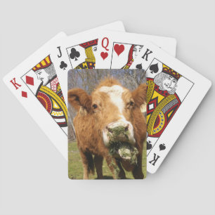 Cow Playing Cards